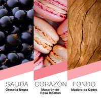 Paris  100ml-225881 Paris  100ml-225881 4